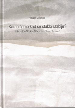 Zrinka Užbinec, Kamo ćemo kad se staklo razbije?, Centar za dramsku umjetnost, 2026., naslovnica