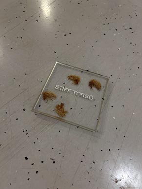 Lutke i koze, autorica Zrinka Užbinec, foto: Silvio Vujičić