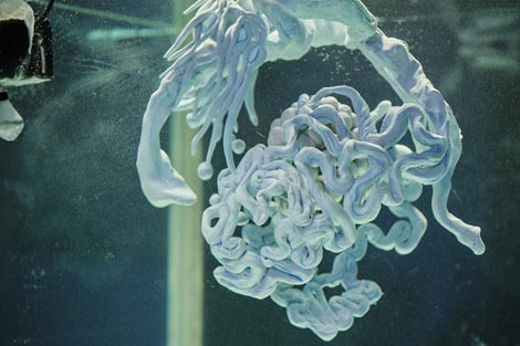 Liberdance, Zagreb:  Rituali s delfinima, autor Rajko Pavlić, foto: Vanja Babić